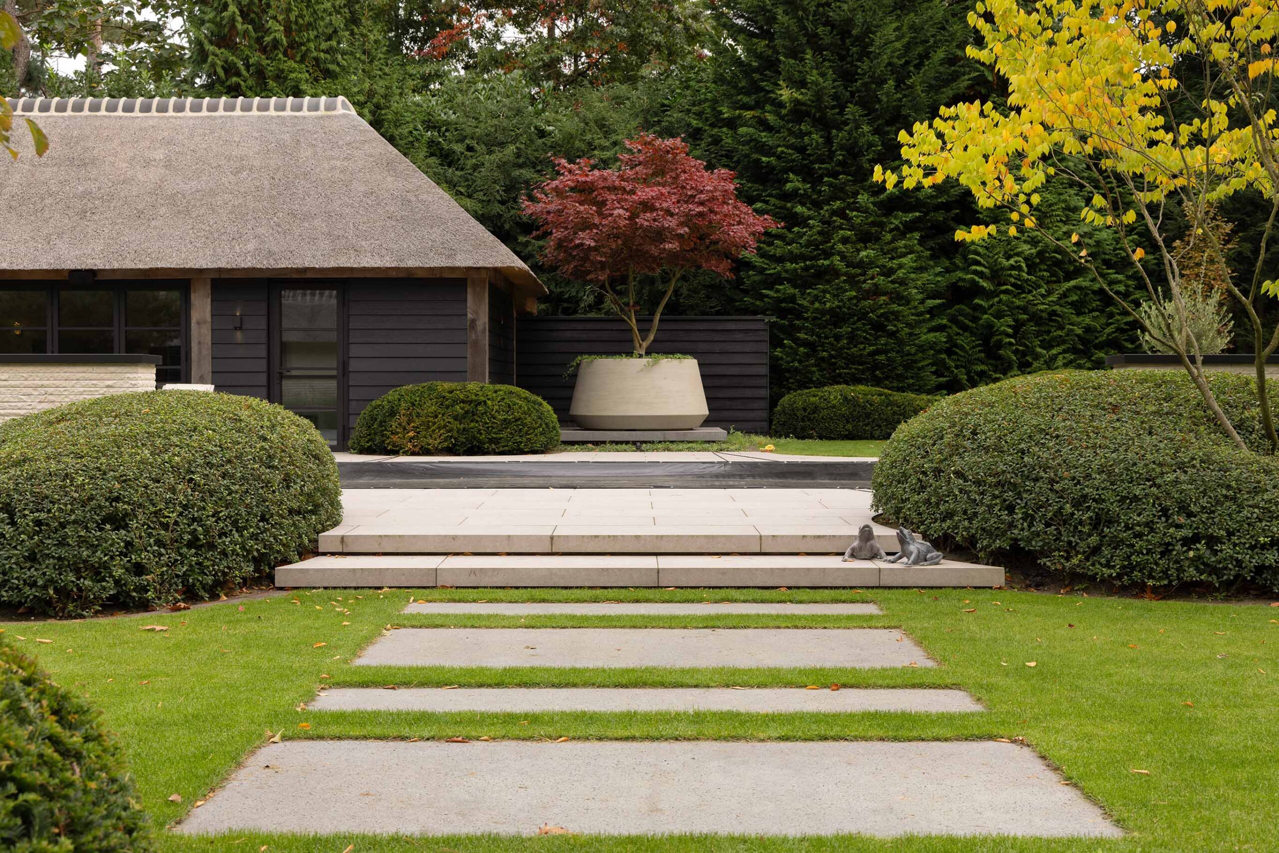 Zicht op brede lichte rechthoekige stapstenen in strak gazon met aan het einde een plantenbak met een rode Esdoorn. 